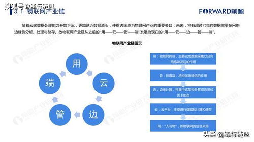 2019年中國(guó)物聯(lián)網(wǎng)技術(shù)服務(wù)行業(yè)市場(chǎng)研究報(bào)告 連接賦能，生態(tài)崛起